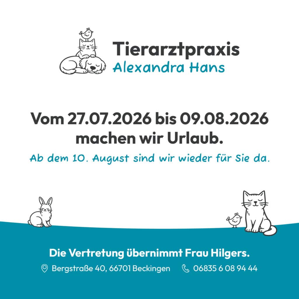 Vom 27.07.2026 bis 09.08.2026 machen wir Urlaub.