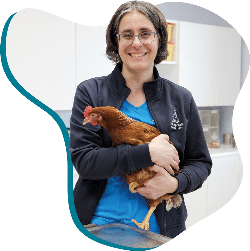 Tierärztin Alexandra Hans hält ein Huhn auf dem Arm