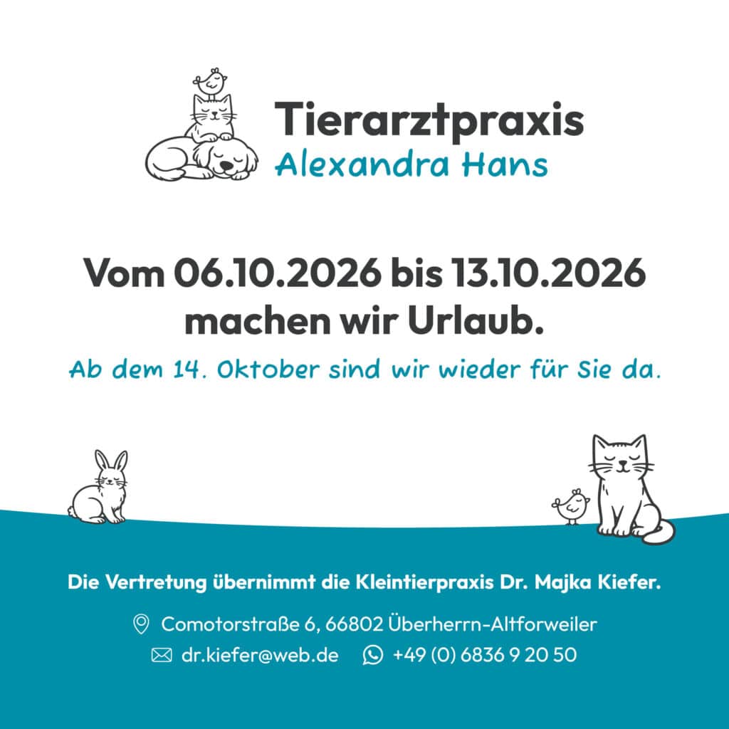 Vom 06.10.2026 bis 13.10.2026 machen wir Urlaub.